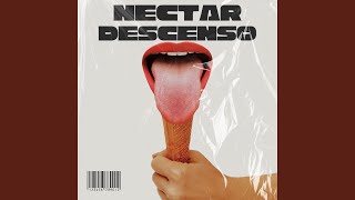 Descenso