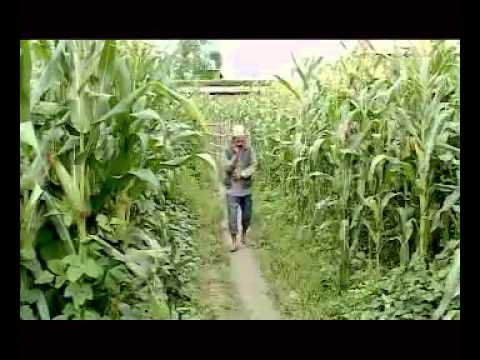 Sarhai bigryou dale dai by Bishnu Majhi and Raju Pariyar
