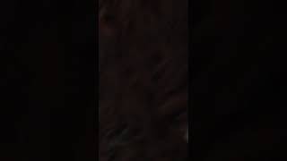 Tammana Very Hot Kiss Lust Stories 2 Stories