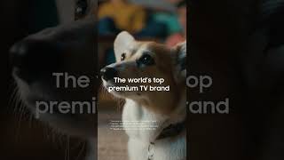 The No.1 Tv Brand For 19 Years, All Thanks To You Samsung Nordics