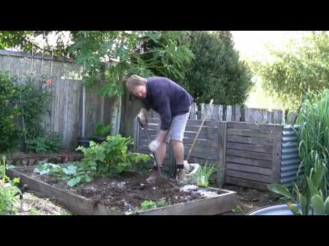 Easy Vegetable Gardens