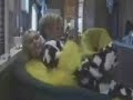 Behind the Scenes of The Fan