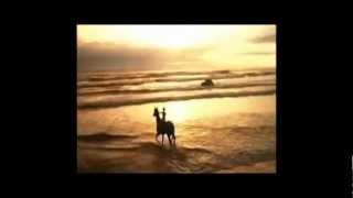 Watch High Highs Horses video