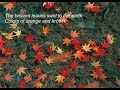 October Shawl - Autumn & Fall ecards - Seasons Greeting Cards October Shawl - Autumn & Fall ecards - Seasons Greeting Cards