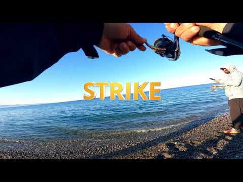 Light SPINNING e Ultra light Spinning - un fine settimana DIFFICILE! - best fishing video.