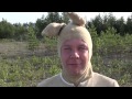 Bloopers från filmen: Flygande Grisen i Hämnden är ett klövdjur Bloopers från filmen: Flygande Grisen i Hämnden är ett klövdjur
