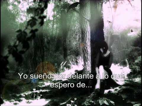 Let Me Go 3 Doors Down Subtitulada Youtube