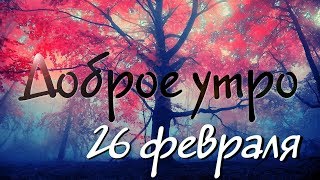 Доброе Утро - Выпуск 92 (26.02.2019)