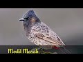 O Paiporot Maiko Kobor Onsoa | Garo Song By Modil Marak