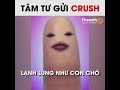 Crush ơi, crush lạnh lùng như con chó