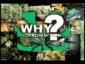 Why Prohibition? - Jamaica - Captain Crazy