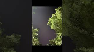 Iphone 11, Iphone 12 Pro, Iphone 13 Pro, Iphone 14 Pro Gece Fotoğraf Çekimi Performansı
