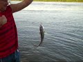 Fishing The Mississippi River - Catfish, Drum, Eel?