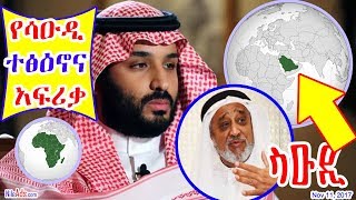የሳዑዲ ተፅዕኖ እና አፍሪቃ - Saudi Current and Africa Future - DW