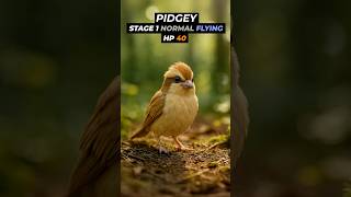 Pokémon Evolution Pidgey Evolving Into Pidgeot