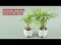 DIY Plastic Planter - Cách làm chậu cây cảnh mini từ chai nhựa | Khéo tay