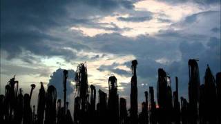 Watch Shels In Dead Palm Fields video
