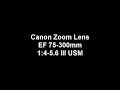 Canon Zoom Lens EF 75-300mm 1:4-5.6 III USM (Filming with T2i)