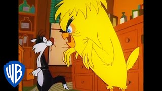 Looney Tunes | Monster Tweety 🐥👻 | Classic Cartoon | WB Kids