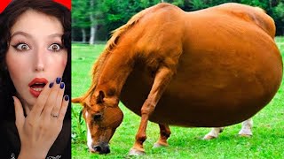 En Zor Oha Dememe Challenge 30 Daki̇ka