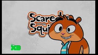 Scaredy Squirrel Theme Song Dutchnederlands Lost Media
