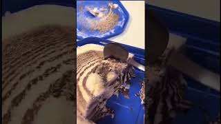 Poor Guy Cant Eat İce Cream