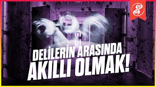 Deli Olmadığını İspatlayabilir misin? | Rosenhan Deneyi