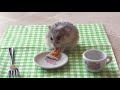 Tiny hamster eating a tiny pizza