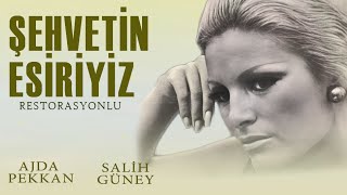 Şehvetin Esiriyiz Türk Filmi | FULL | AJDA PEKKAN | KUZEY VARGIN