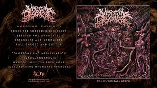 Watch Visceral Disgorge Spastic Anal Lacerations video