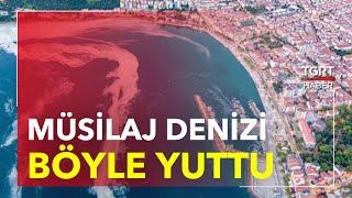 Müsilaj Denizi Böyle Yuttu - Tgrt Haber