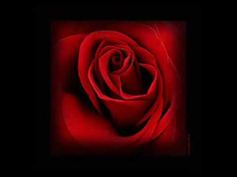 Dil Mera Tod Diya Usne - sad song