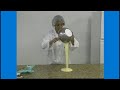 curso de chocolate