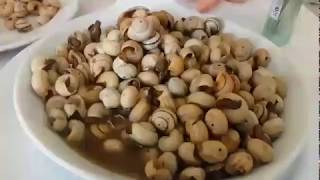 Eating Snails In Lisbon Portugal With Alena A Traditional Seasonal Dish
