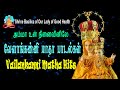 Velankanni Matha Hits | அம்மா உன் நினைவினிலே | Amma Un Ninaivinile