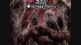 Watch Dead Congregation Source Of Fire video