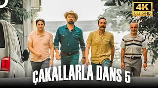 Çakallarla Dans 5 4K Komedi Filmi İzle