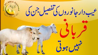 Qurbani Special | Aiebdar Janwar Ki Qurbani Nahi Ho Sakti | Qurbani 2020 | The Islamic Corner