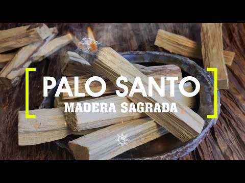 El PALO SANTO o Madera Sagrada ☯️ ❤️ Aroma que ELEVA tu VIBRACIÓN