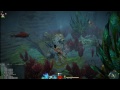 gw2 underwater
