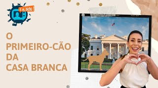 Major Biden e ai bicho