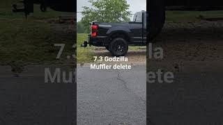 7.3 Godzilla Muffler Delete