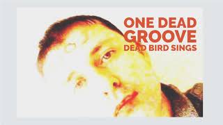 Watch Babybird One Dead Groove video