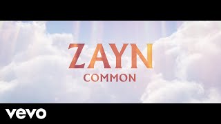 Watch Zayn Common video