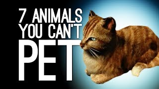 7 Animals You Can?t Pet Because I Guess The Game Hates You