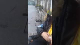 Yukari Haci Cergo Küyünden Mehmet Can Iba