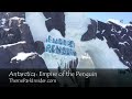 Antarctica: Empire of the Penguin [Ride POV]