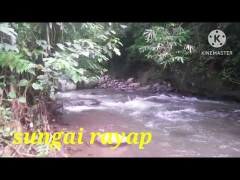 adventure episode 2 jalan jalan hutan kebun rayap kec.Arjasa dan hutan kebun gunung pasang kec.panti