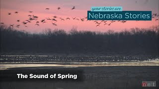 Nebraska Stories | The Sound of Spring
