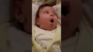 Komik bebek konuşması